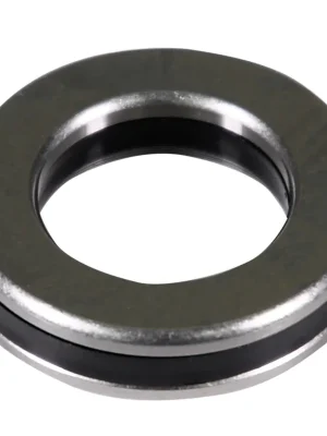 Forstreich Axial-Zylinderrollenlager für TR 30 Begrenztes Angebot