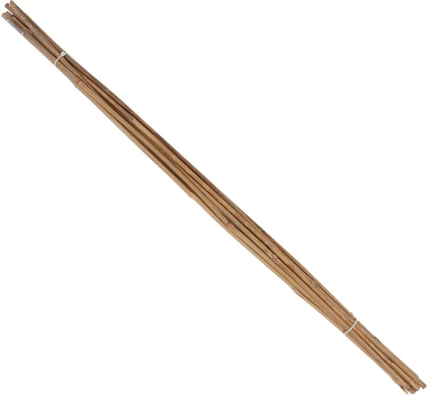 Letzte Chance floraworld Tonkin-Pflanzstab Ø 8-10mm 120cm 10er Bund