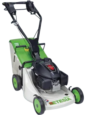 Schneller Versand ETESIA Rasenmäher Pro 46 PHTS3