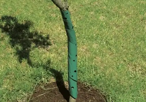 Billig floraworld Baumschutzspirale 2er, 60 cm