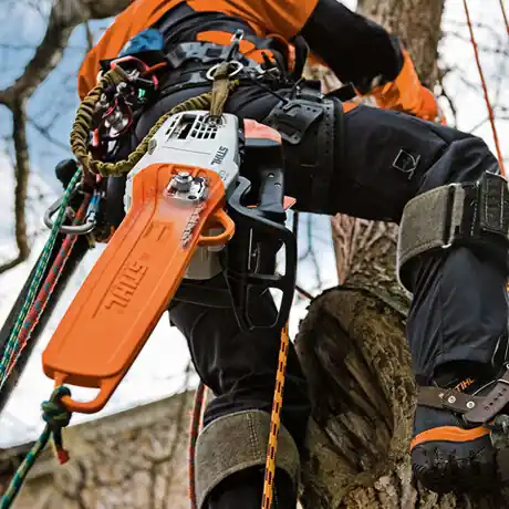 Sichere Zahlung STIHL Motorsäge MS 201 TC-M, PS3, Schienenlänge 35cm