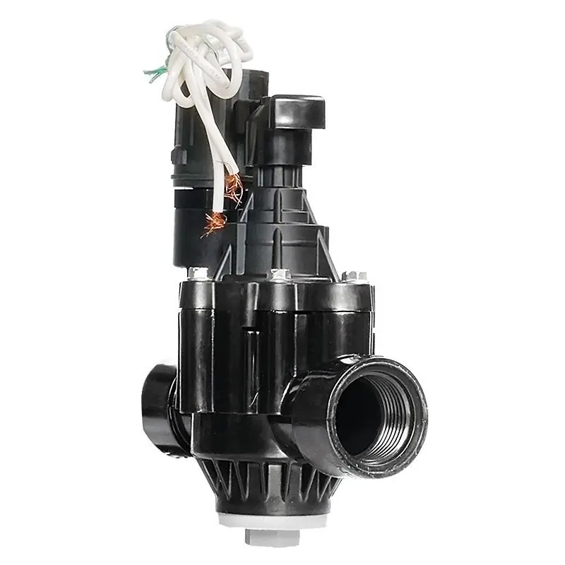 Rain Bird Magnetventil PGA-100, 24 VAC, 1" Innengewinde Echt