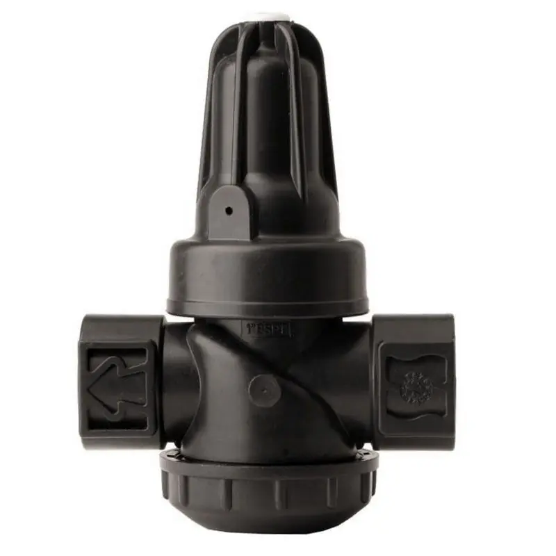 Letzte Chance Druckminderer 1" Innengewinde, Federkappe Schwarz