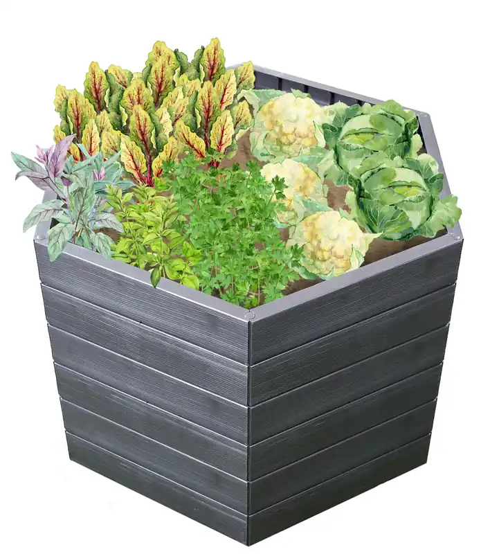Garantia Ergo L 75 Hochbeet, 6-Eck, Wood, Kunststoff, Flora Wassersparsystem, 110 x 75 cm Schneller Versand
