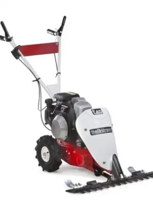 Tielbürger t40 Balkenmäher - B&S 550 OHV Preiswert