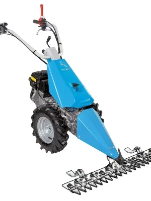 Abverkauf Bertolini BT 120 S Balkenmäher GX 200 mit Messerkopf ohne Mähbalken mit Bereifung