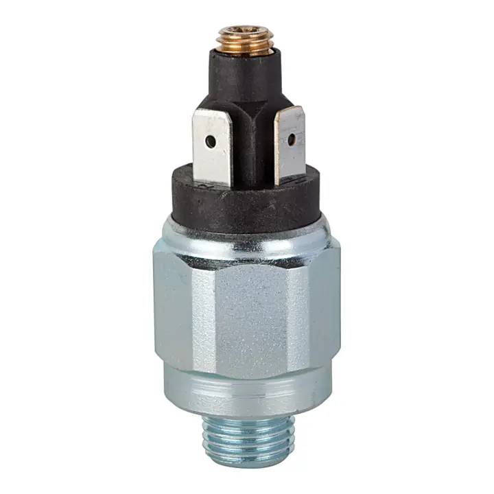 Neue Ware Riegler Druckschalter, Standard, Stahl verz., G 1/8, 1 - 10 bar, Öffner