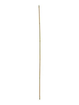 Expressversand floraworld Tonkinstab 10er Set 150cm