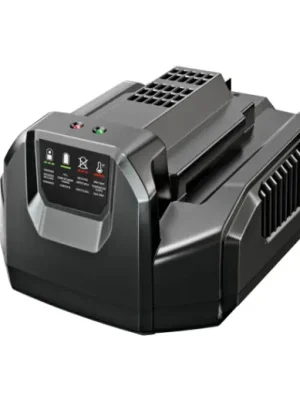 Wochenendangebot EGO EGO CH2100E Standard-Ladegerät