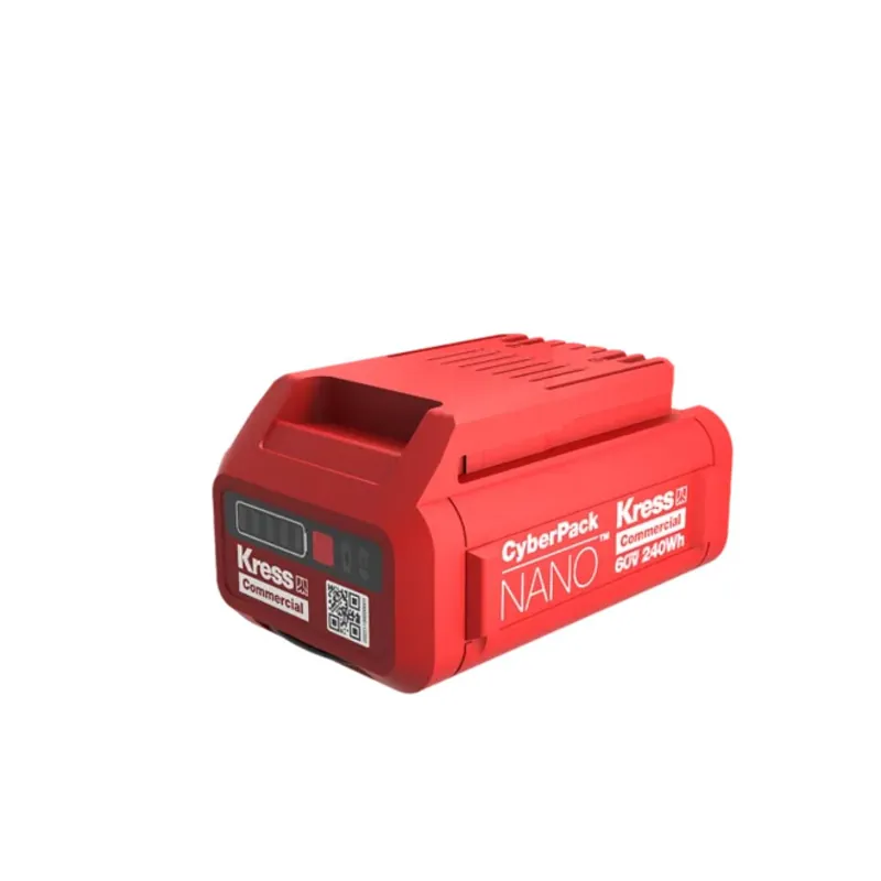 Akku Commercial - 60,0 V / 4 Ah / 240 Wh CyberPack Nano Günstig