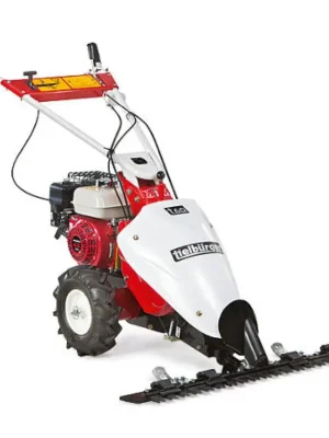 Benzin-Balkenmäher t60 (B&S Motor) Top-Preis
