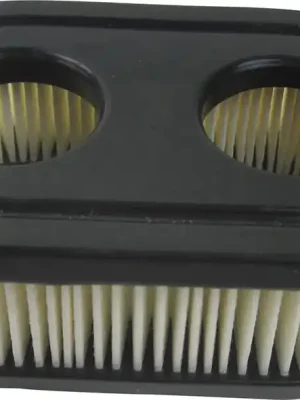 BRIGGS & STRATTON Luftfilter Must-Have