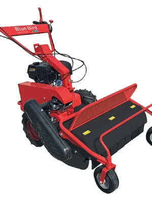 Ausverkauf Blue Bird FM 750 Schlegelmäher