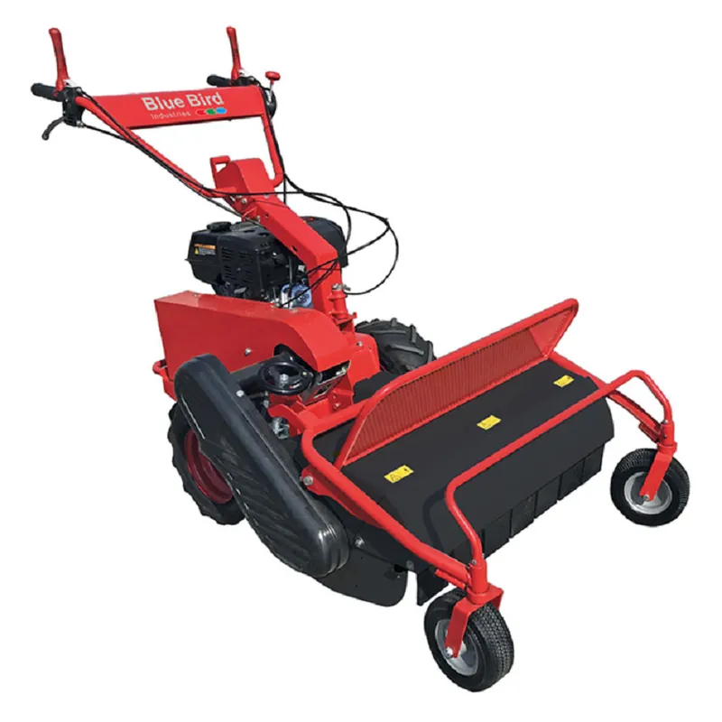 Ausverkauf Blue Bird FM 750 Schlegelmäher
