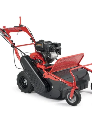 Direktkauf Blue Bird FM 600 Schlegelmäher